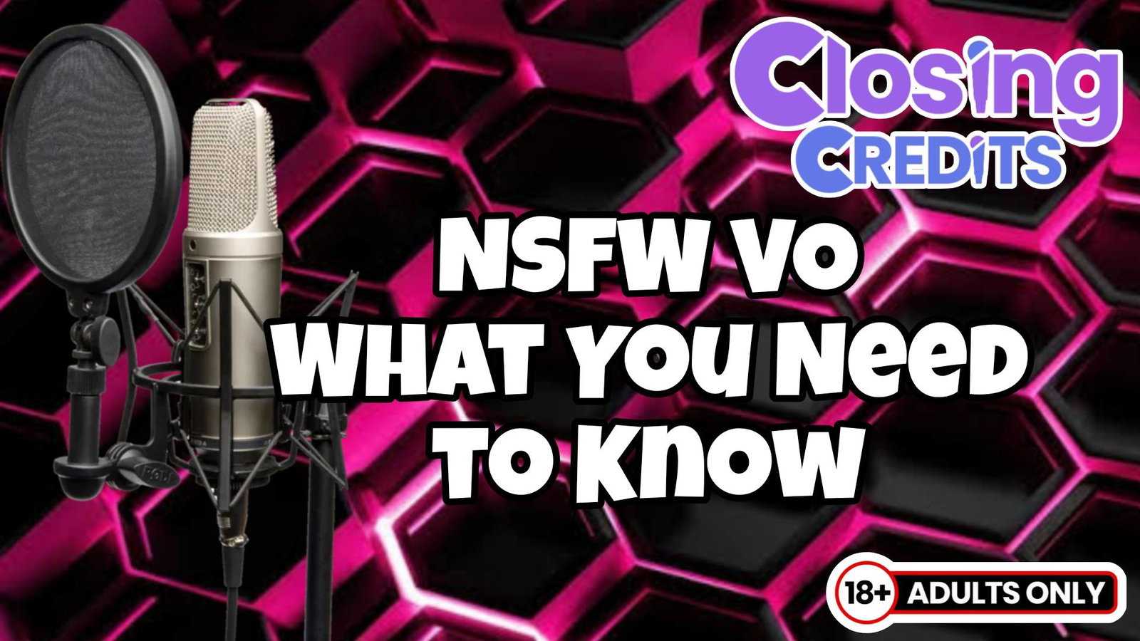 NSFW VO: What You Need to Know 18+
